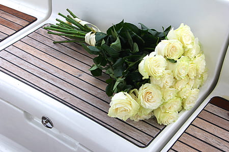 bundle of yellow petaled flowers thumbnail