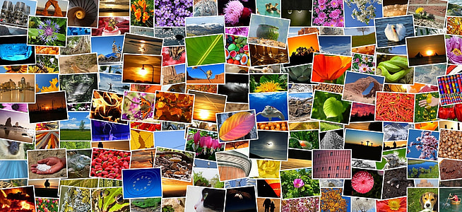 assorted photograph collection thumbnail