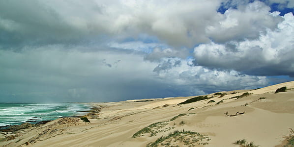 sea shore under white clouds during daytime thumbnail