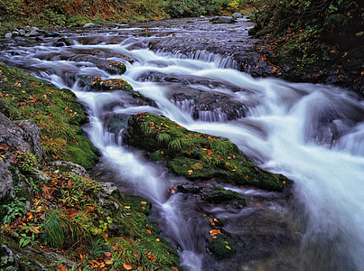 time lapsed photo on waterfall with flowers thumbnail