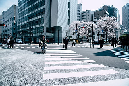 People Crossing Pedestrian Lane thumbnail
