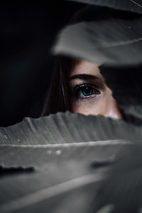 Blue Eyes Behind Dark Foliage thumbnail