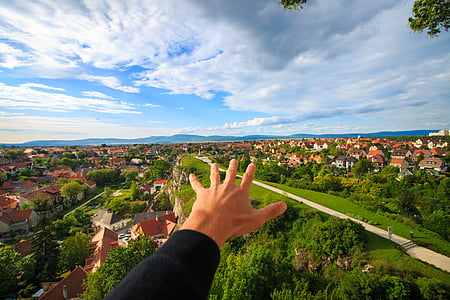 left human hand thumbnail