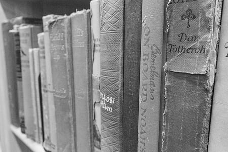 book lot thumbnail