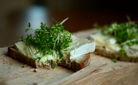 tilt shift photo of bread with butter, cheese and coleslaw on top thumbnail