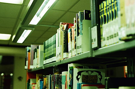 book in bookshelves thumbnail