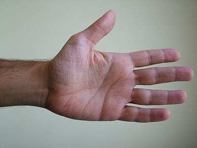 left human palm thumbnail