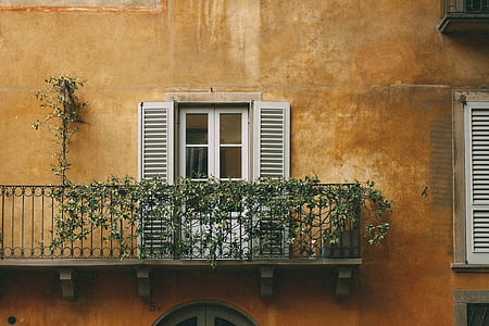 opened door of brown building white green vine plants thumbnail