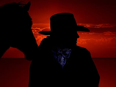 silhouette of cowboy beside horse thumbnail