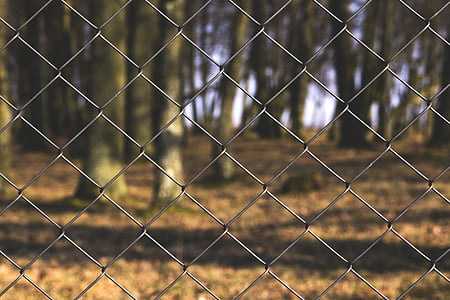 selective focus photography of gray chain link fence thumbnail