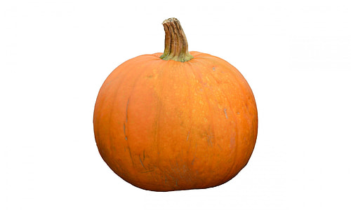 photo of orange pumpkin thumbnail