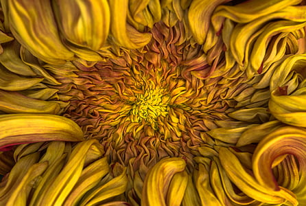 yellow sunflower painting thumbnail