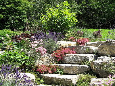 boulders and flowers at garden thumbnail