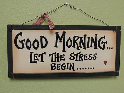 Good Morning Let The Stress Begin decor thumbnail