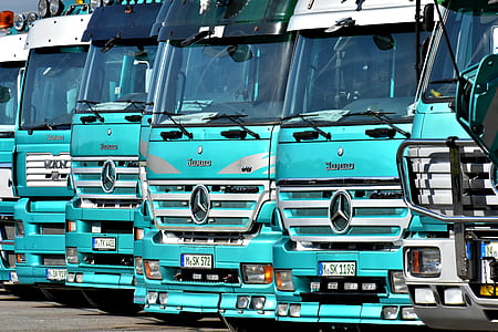 teal and white Mercedesz-Benz trucks thumbnail