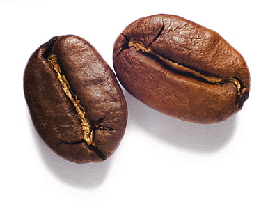 two coffee beans thumbnail