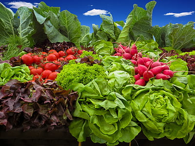 pile of different kind of vegetables thumbnail
