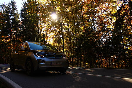 gray vehicle passing through road between forest thumbnail