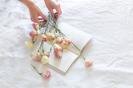 Pink-and-white Rose Flowers on White Printer Book thumbnail