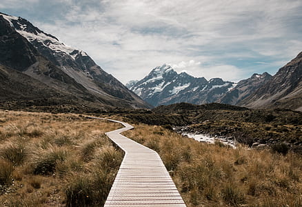 wooden pathway near grasses thumbnail