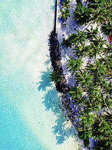 bird's-eye view photography of seashore thumbnail