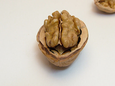 oval brown nut on white surface thumbnail
