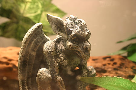 gray gargoyle figurine close-up photo thumbnail