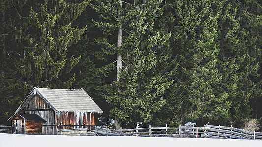 landscape photo of cabin near fence and trees thumbnail