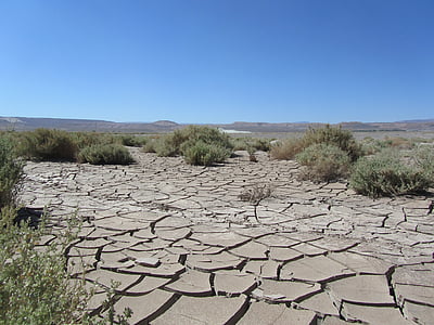 cracked soil in the middle of the field thumbnail