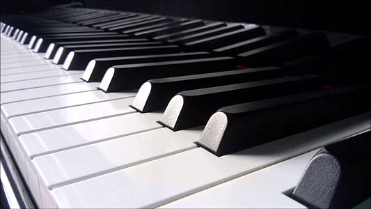 grayscale photo of electronic keyboard thumbnail
