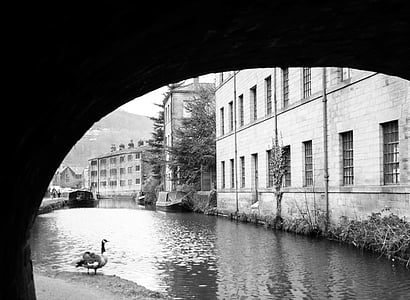 duck standing beside calm body of water and concrete buildings grayscale photo thumbnail