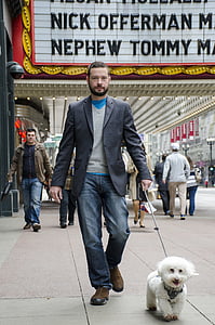 man walking bichon frise thumbnail