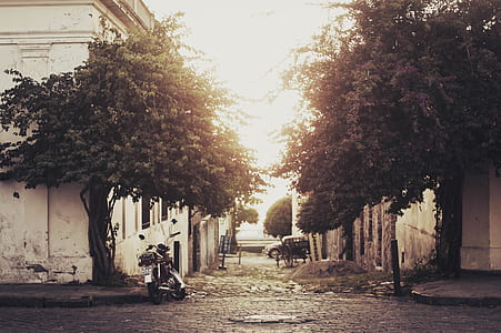 gray motorcycle parked on a black road thumbnail