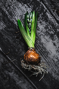 Woman making a little ornamental seedling in a small jar thumbnail