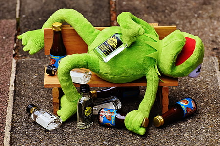 Kermit the frog plush toy on brown wooden bench miniature thumbnail