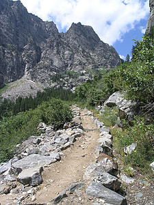 Trail through death canyon at Grand Teton National Park, Wyoming thumbnail