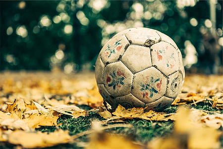 focus photo of white soccer ball on leaves thumbnail