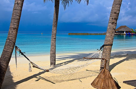 white hammock tied on two coconut trees thumbnail