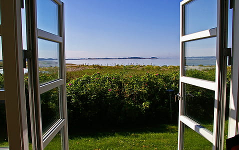 photo of green grass near body of water thumbnail