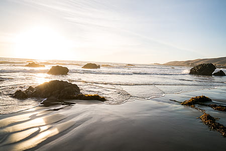 seashore during golden hour thumbnail