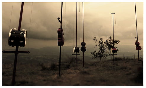 hanging musical instruments above grass field thumbnail