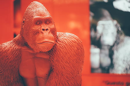 gray gorilla toy thumbnail
