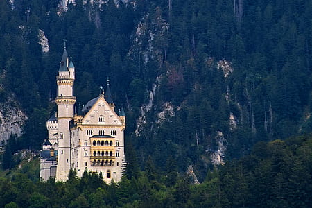 brown concrete castle thumbnail