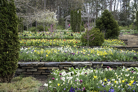 Flowers in Terraces in Duke University in Durham, North Carolina thumbnail