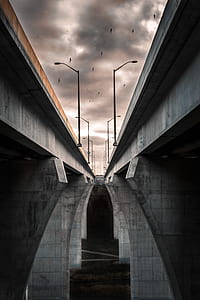 architectural photography of bridge thumbnail