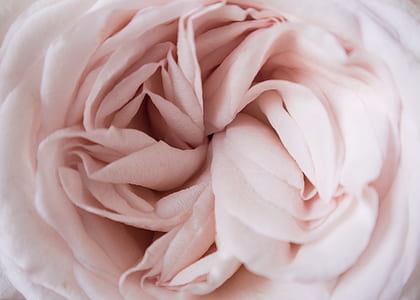 pink textile thumbnail