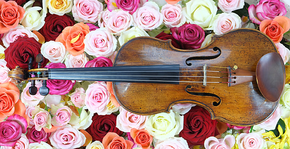 brown and black wooden violin  on flowers printed textile thumbnail