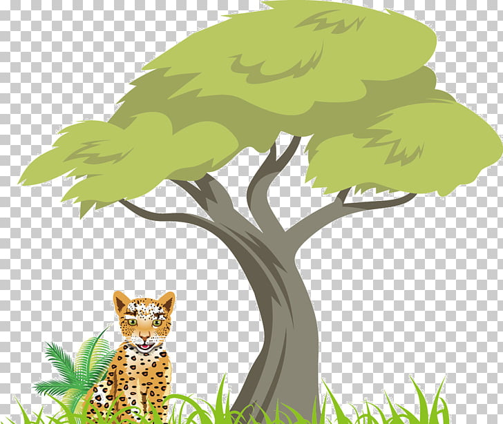 cartoon jungle wala