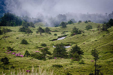 Highest Road In Taiwan, Hehuanshan thumbnail