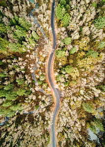 aerial shot of asphalt road surrounded with trees thumbnail